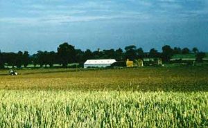 Cotton Valley Farm