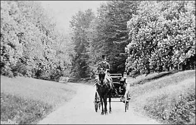 Carriage, coming up the hill from Thornton Hall.