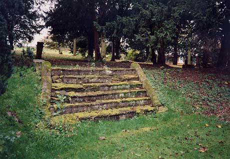 Steps