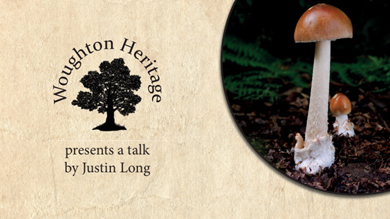 Woughton - mushrooms talk Woughton - mushrooms talk