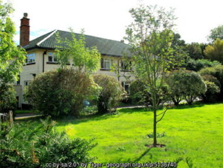 Coft Gardens