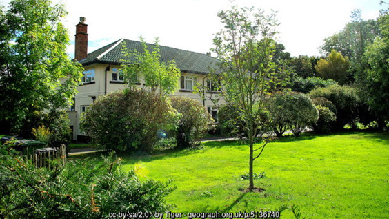 Coft Gardens