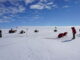 Searching for meteorites in Antarctica