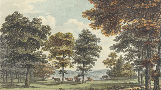 Humphry Repton