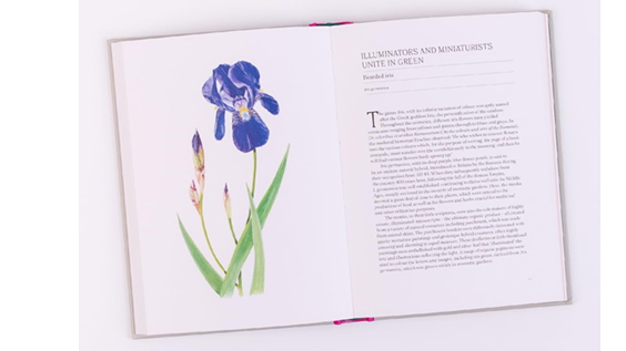 A Short History of Flowers