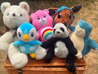Teddy bears picnic