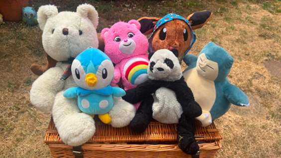 Teddy bears picnic