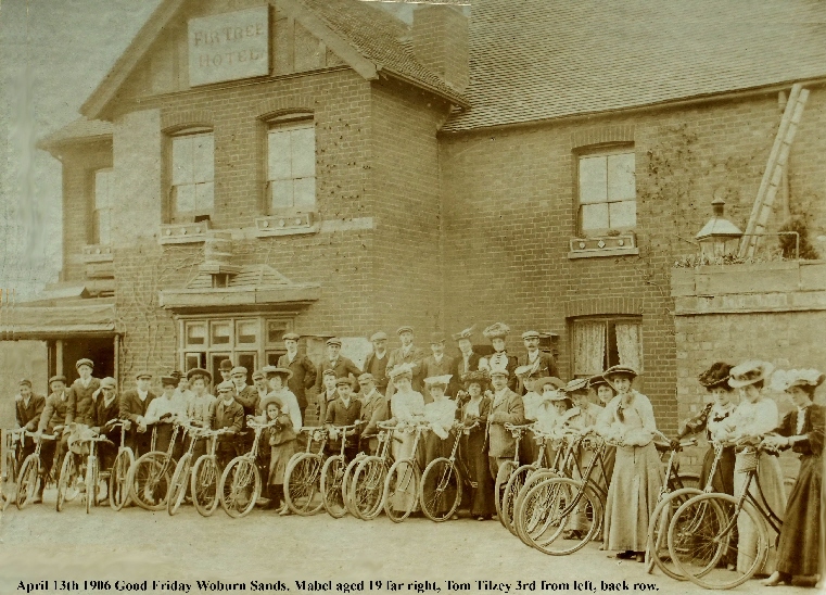 FIR TREE 1900 1949 Woburn Sands Collection
