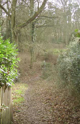 Trail of views down Aspley Heath
