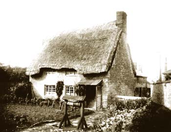 The cottage up Sturgess lane