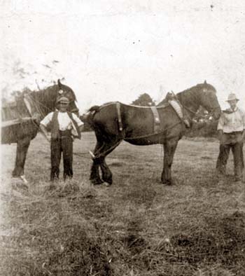 Billy Glen with Jack Weston with working horses